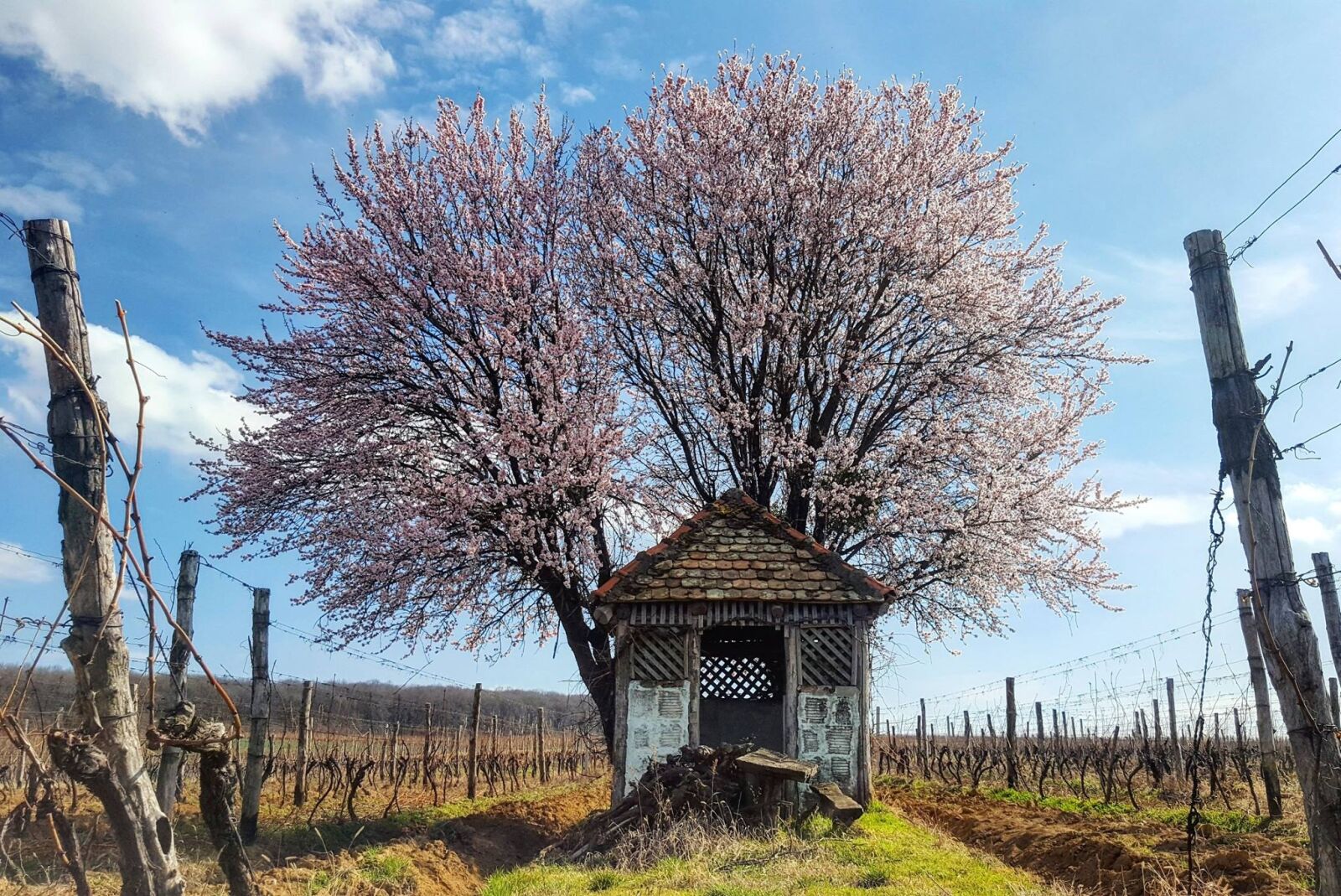 Kućica